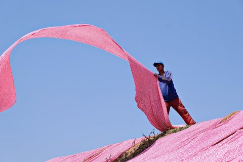 Nachhaltige Kleidung – Mann aus rosa Stoff auf einem Hügel