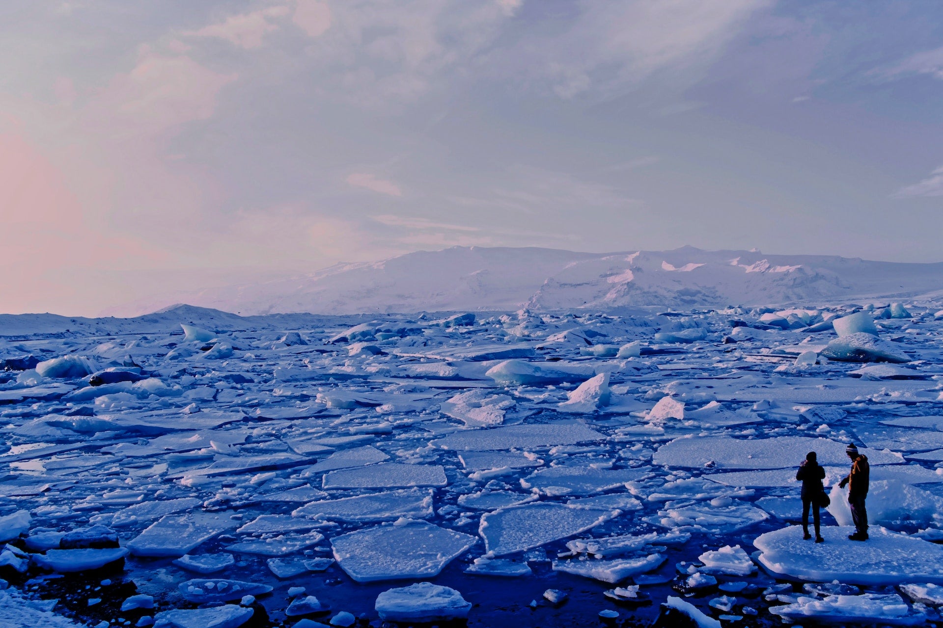 Réchauffement climatique