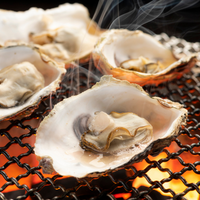 August 5th: National Oyster Day Party
