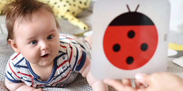 Baby playing with insect flash cards