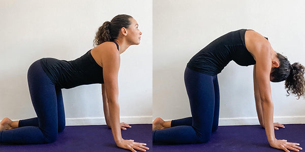 Woman performing cat/cow pose for postnatal benefits