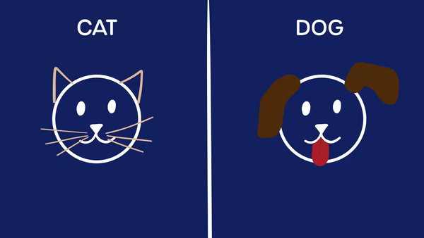 Cat vs Dog drawing