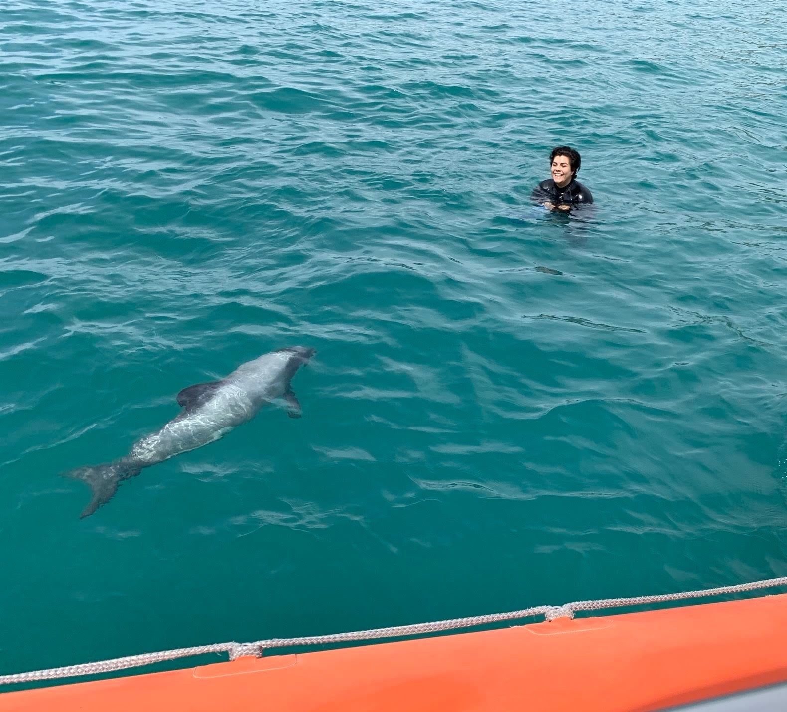 Swimming with Hector dolphin in Akaroa