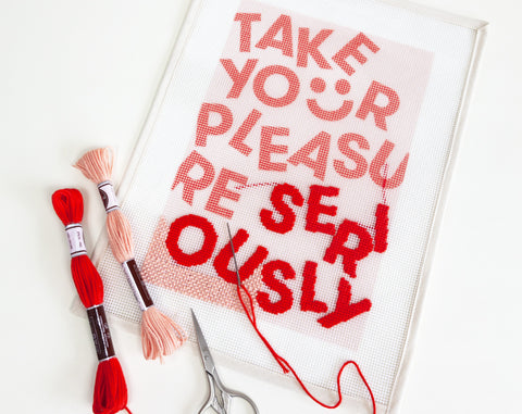 take your pleasure seriously needlepoint kit