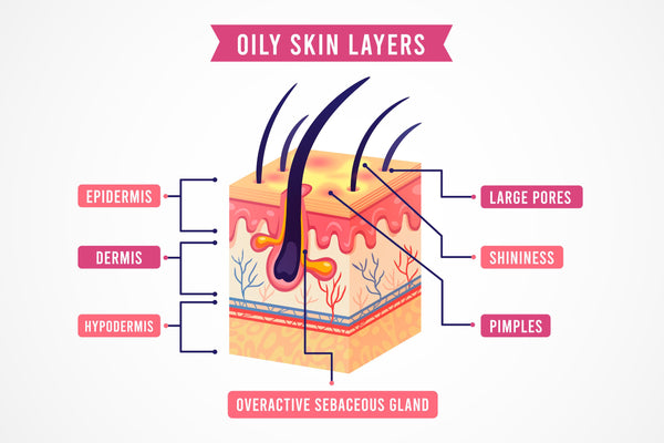 oily skin layers | Vince