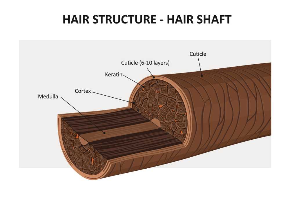 layers of hair 