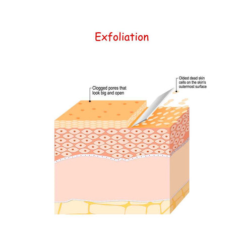 Causes of dead skin cells and exfoliation