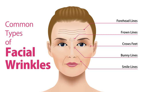 facial wrinkles contains forehead lines