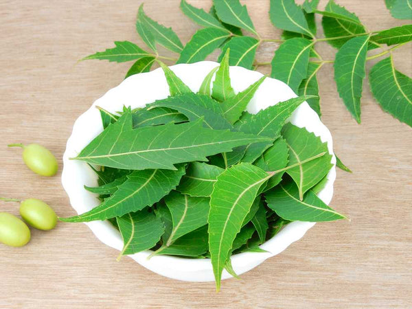 neem leaves to get rid of hair dandruff