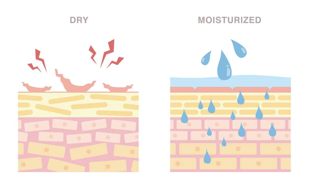 moisturize skin layers vs dry skin layers