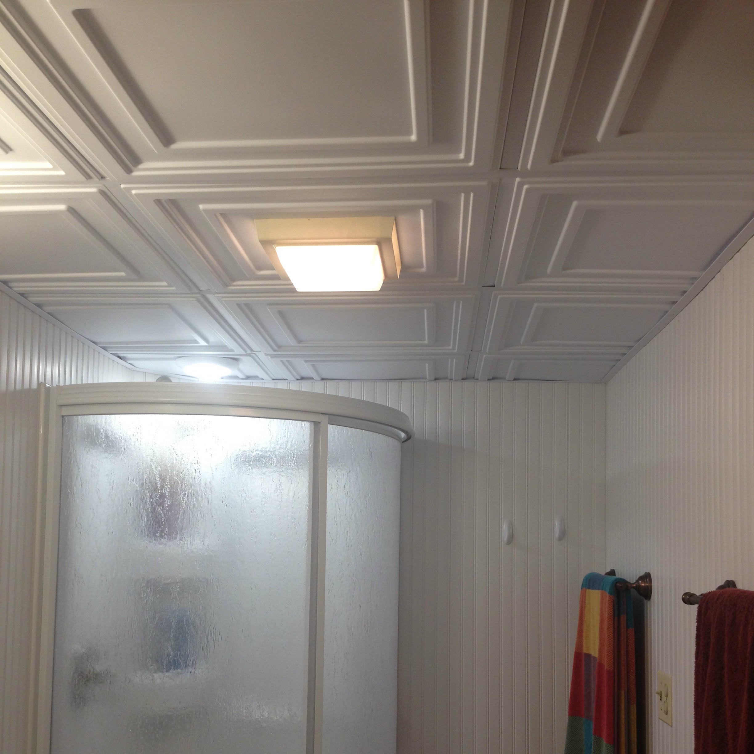 ceilingconnex-bathroom-1.jpg