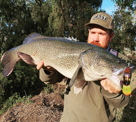 Murray Cod caught on a Drop Bear