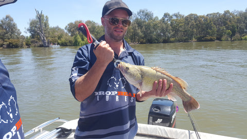 Murray Cod at Lake Mulwala