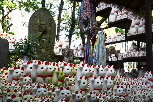 In the heart of Tokyo lies a hidden gem steeped in history and mystique – Gotokuji Temple.