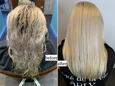 Oribe Renewal Remedies Hair Treatment Before & After
