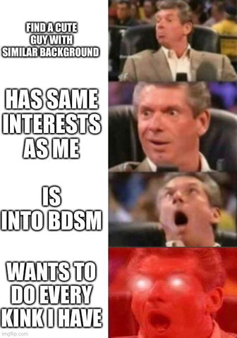 BDSM meme