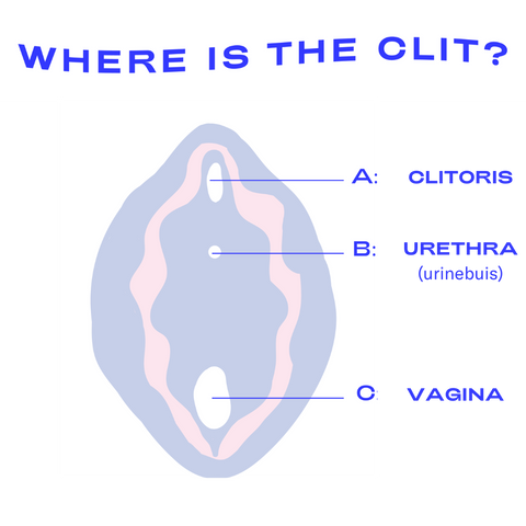 Waar is de clitoris? Het blauwe busje van Oh Collective. The Oh Collective busje auto waar is de clitoris?