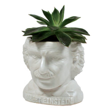 Load image into Gallery viewer, Albert einstein Unemployed philosopher&#39;s guild plant planter genius physicist e=mc2 professor crazy hair great mustache 
