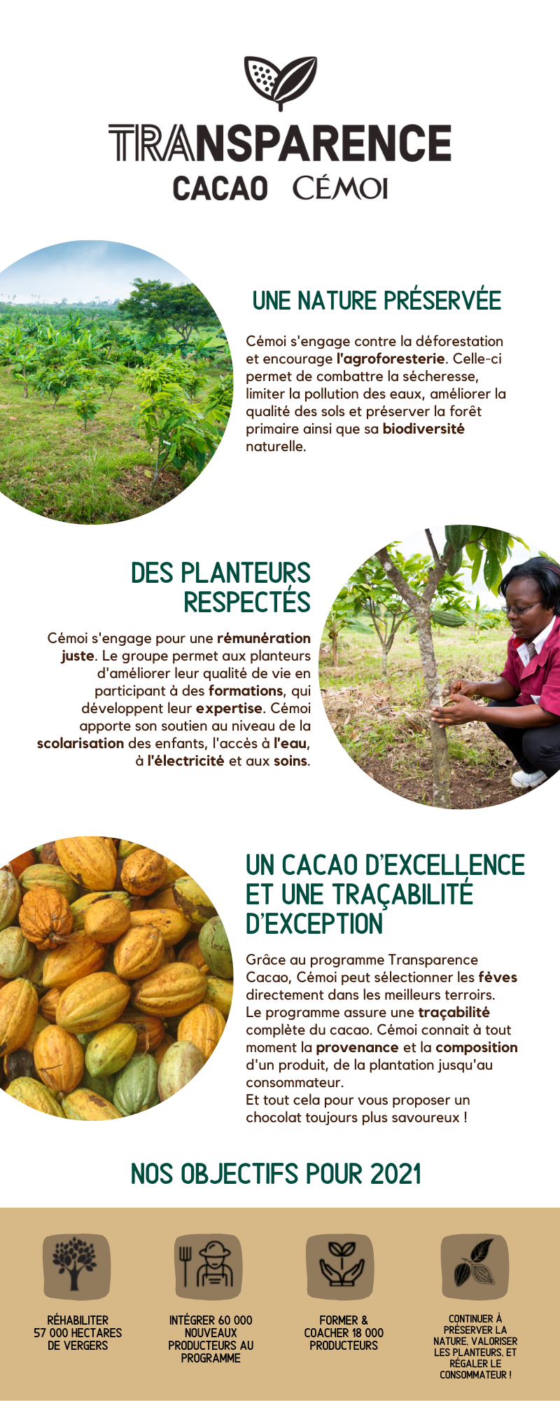 Cémoi s'engage en faveur d'un cacao durable avec son programme Transparence Cacao