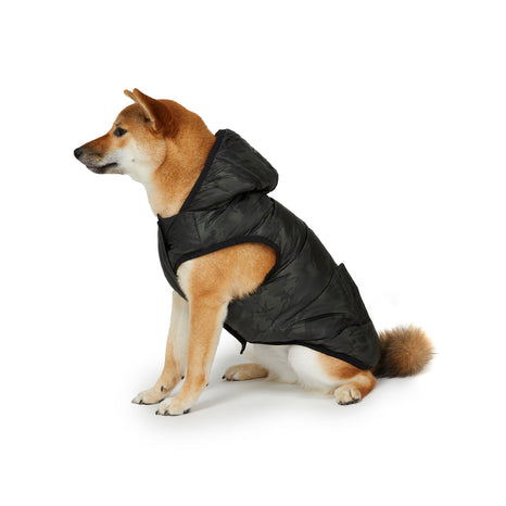 Manteaux pour chiens pour toutes les saisons sur