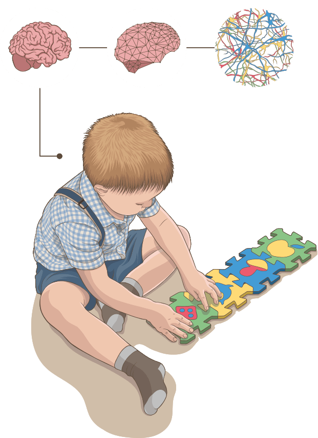 Brain Growth Gummy