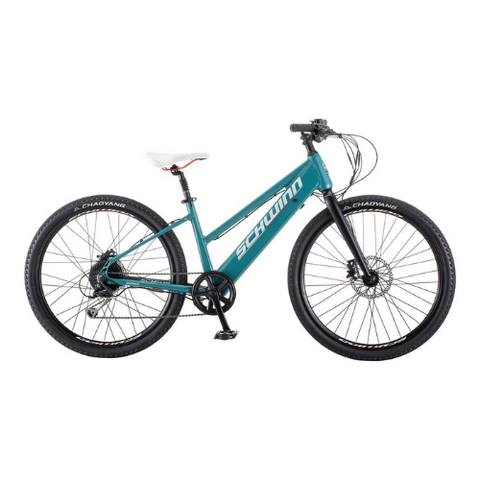 best ebike for beginners 4