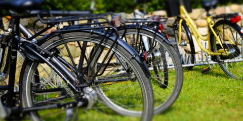 Eine Reihe von verschiedenen Fahrrädern geparkt neben einem Steinwall im Park.