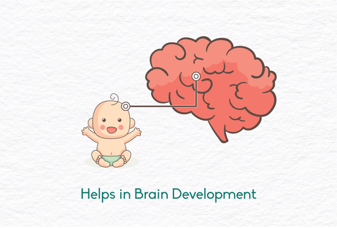 Ghee helps in brain development