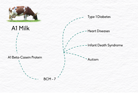 Effects of A1 milk