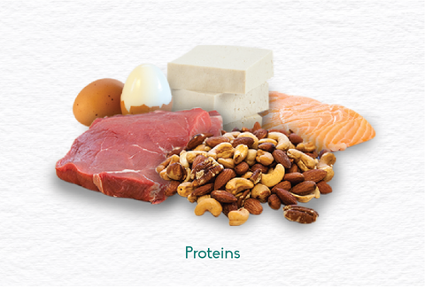 protein rich foods