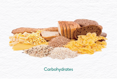 carbohydrate rich foods