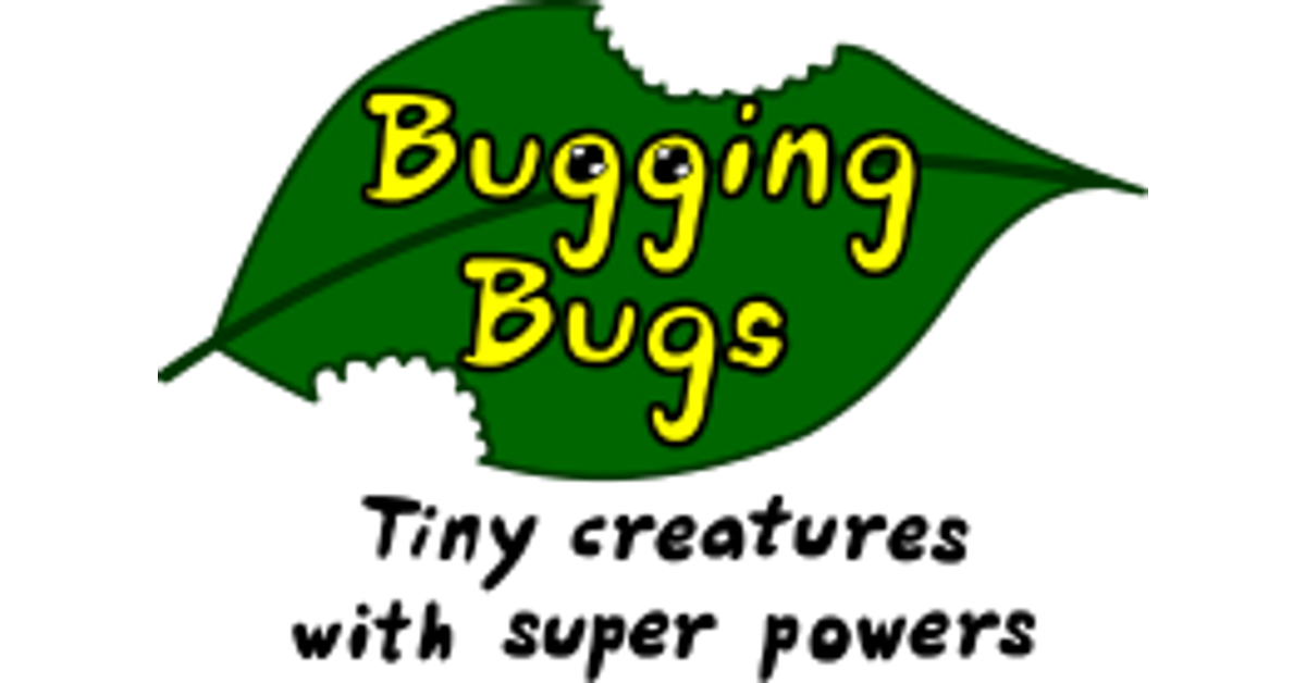 Bugging Bugs - Why Are Bugs So Important?