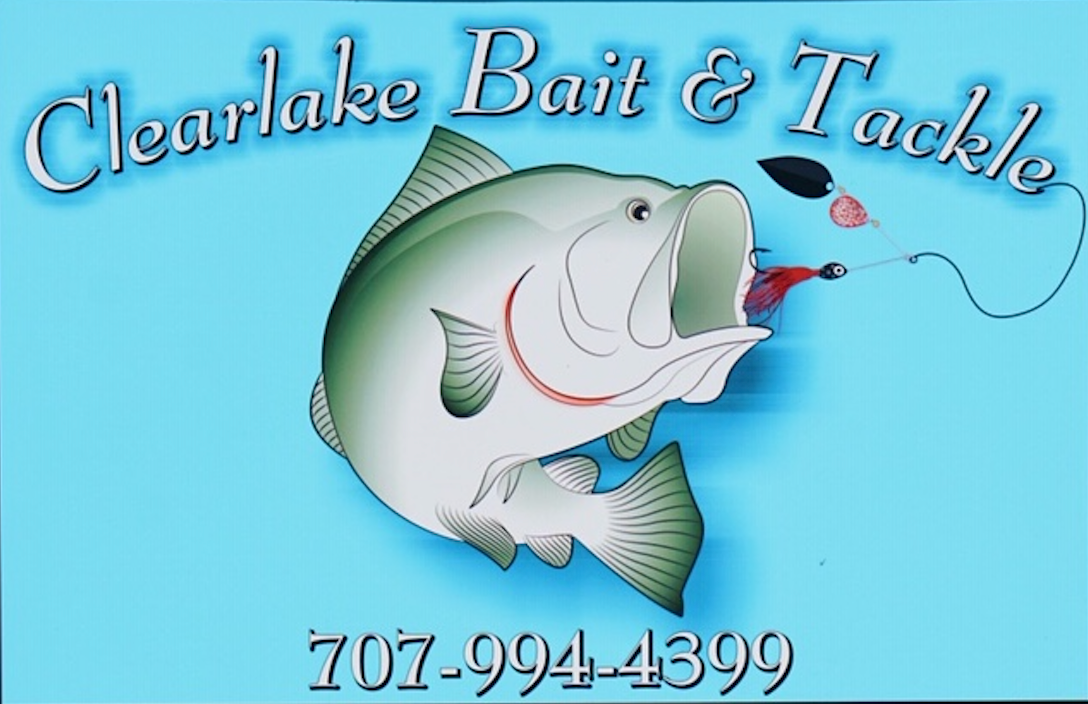 Big Bite Baits B5 Line-Thru Swimbait – Clearlake Bait & Tackle