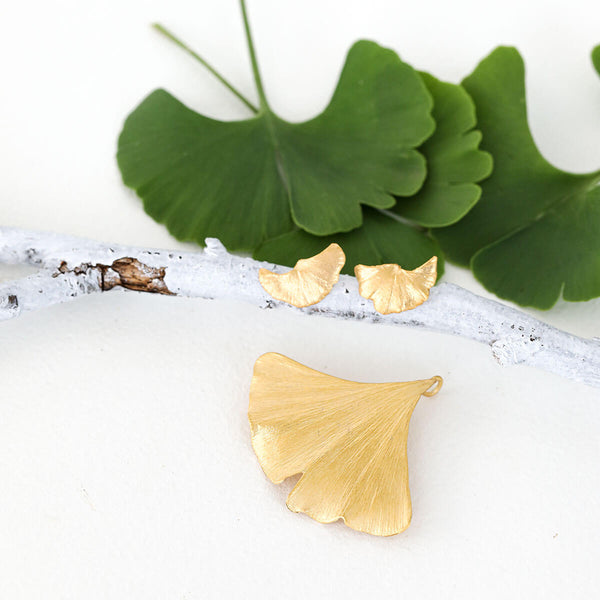 9 things you should definitely know about the Ginkgo