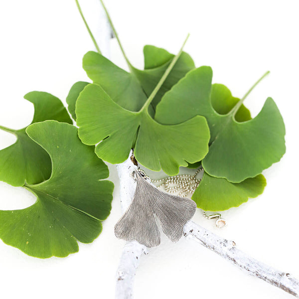 9 things you should definitely know about the Ginkgo