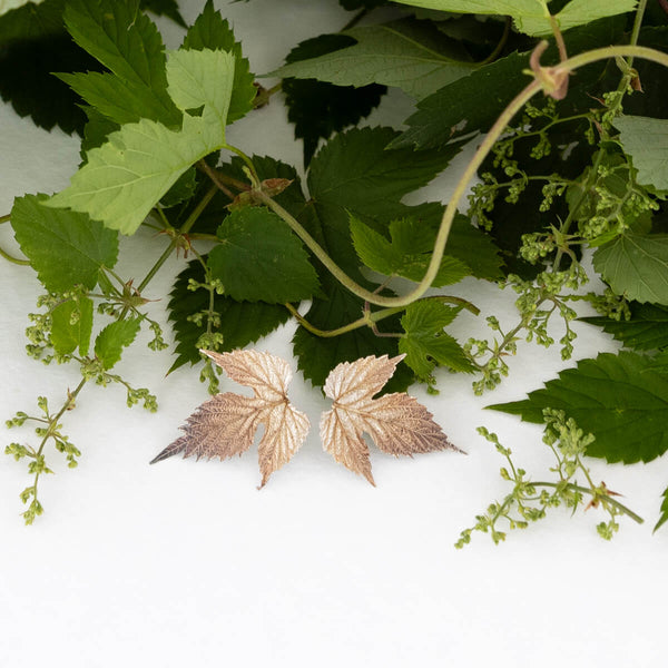 Hop leaf earrings in silver from real leaf