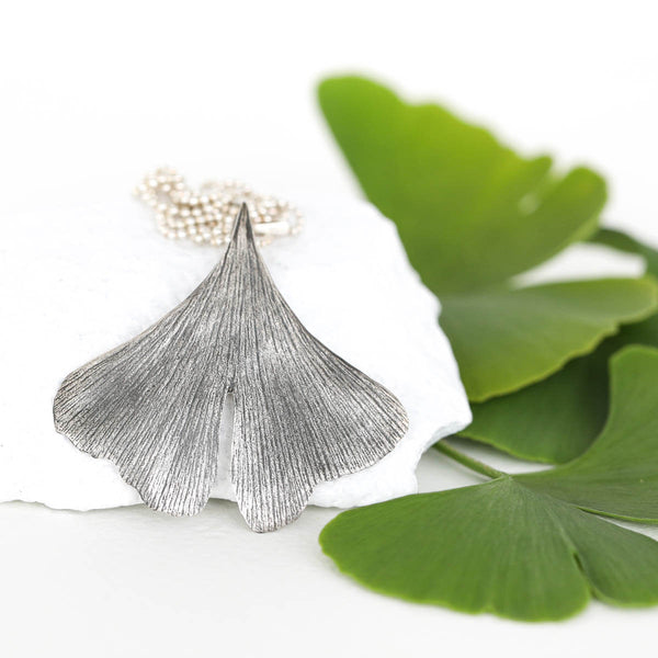 Ginkgo leaf | small leaf knowledge