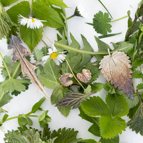 Wild herbs symbolism, nettle, dandelion, ground ivy