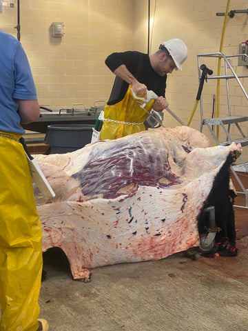 A beef carcass being split into halves by a skilled butcher.