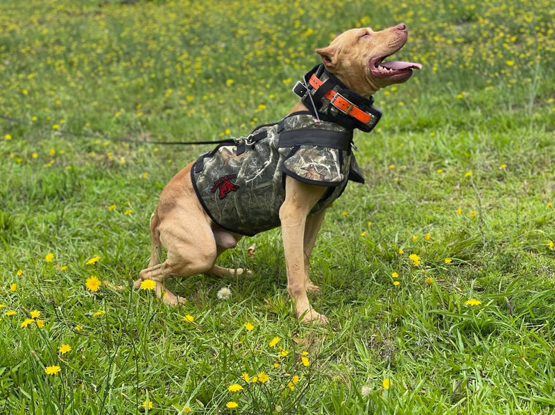 Ultra Flex Catch PRO Vest- Attached Collar/Leg Guards Lightweight