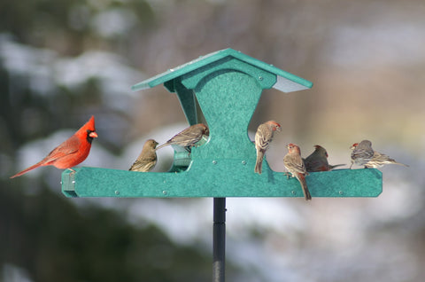 4 Pieces Wild Bird Feeders, Metal Bird Feeder with S-Shaped Hooks, Ball  Hanging Bird Feeder for Garden, Outdoor