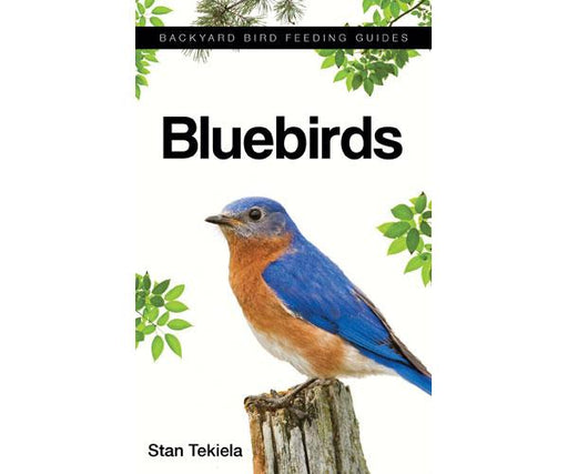 bluebird book by genevieve graham