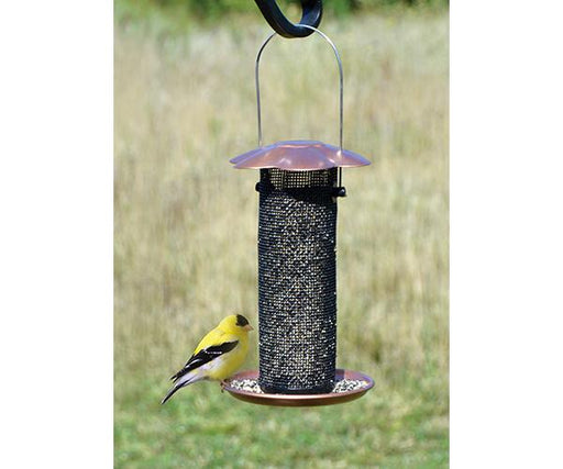 Songbird Sunflower Window Bird Feeder