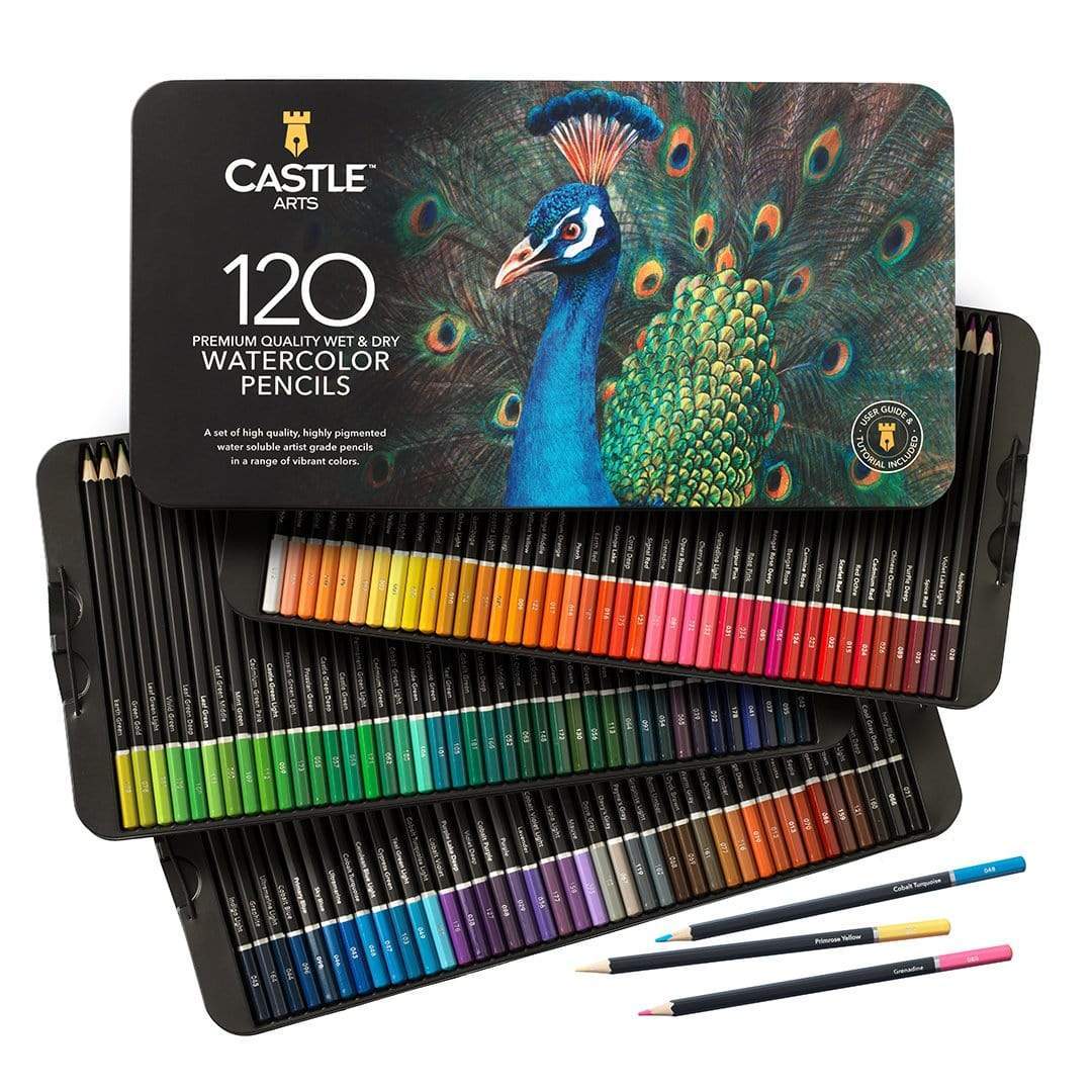 Castle Art Supplies 60 Piece Woodless Watercolor Pencils Set | 48 Solid Pigmented Pencils Plus Extras | All Core, No Wood | for Adult Artists, Starter