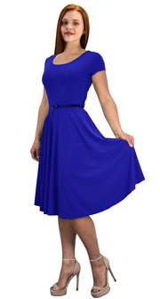 fit and flare swing dress