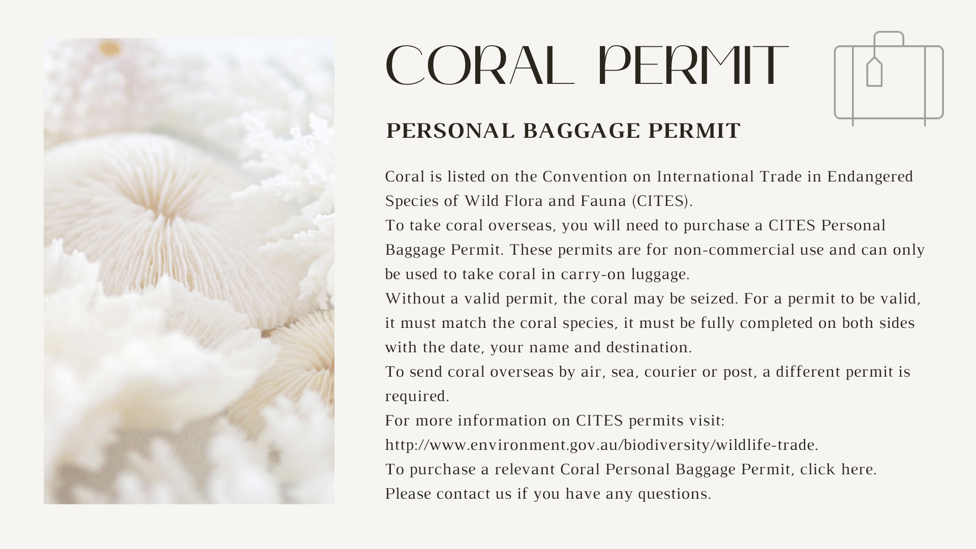 coral export baggage permit