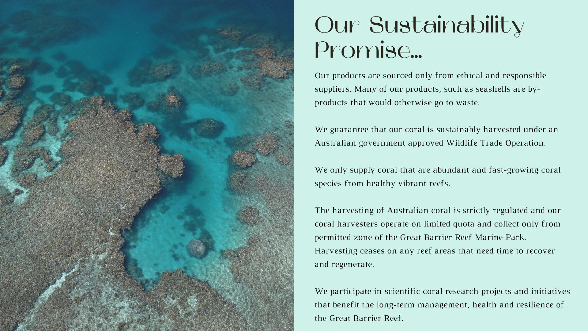 sustainability promise