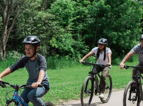 BIKE TOURS COLLINGWOOD