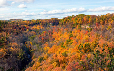 Bruce Trail Lookout