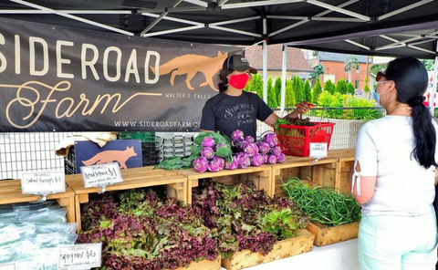 Collingwood Farmer's Market